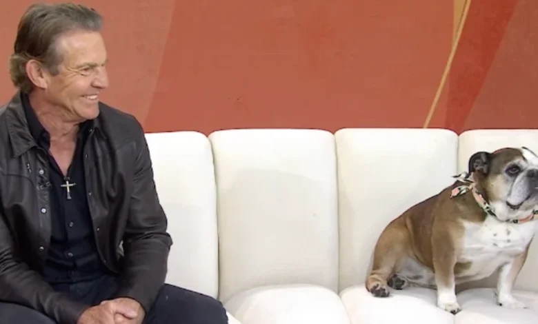 Dennis Quaid's Dog Peaches Is An Unbothered Queen on TODAY — And Anchors Can't Stop Laughing