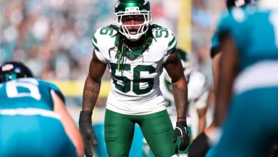 Detroit Lions free agency preview: Best linebacker fits, Anzalone replacments