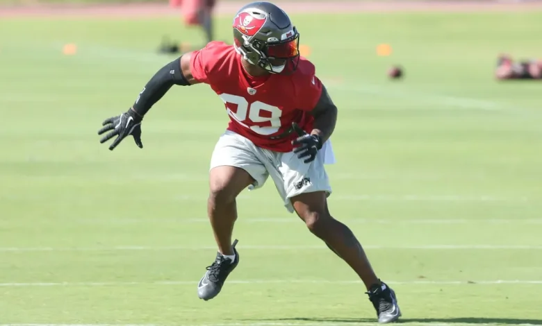 Detroit Lions sign versatile defensive back Christian Izien