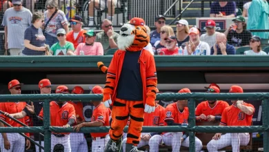 Detroit Tigers announce cable TV channels for Detroit SportsNet