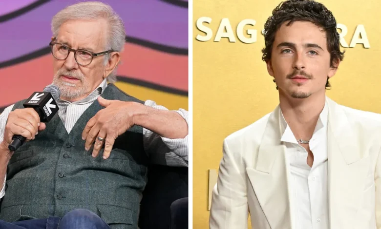"Did Anyone Look At Chalamet As A Sage Prior To This?": Steven Spielberg Slams Timothée Ahead Of The Oscars