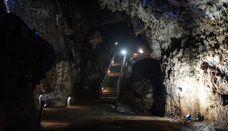 Digital reconstruction reveals the face of ‘Little Foot,’ a nearly 4 million-year-old human ancestor