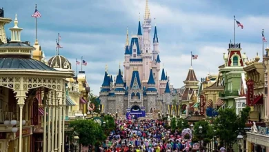 Disney World Vacation Bookings Are Being Cut by 50% in 2026