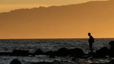 Do ‘forever chemicals’ age men faster? Experts urge caution on new study - National