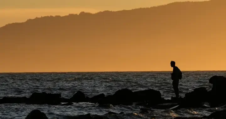 Do ‘forever chemicals’ age men faster? Experts urge caution on new study - National