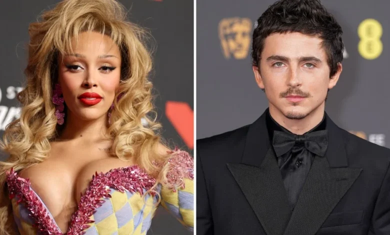Doja Cat Takes Back Timothée Chalamet Criticism Over Ballet, Opera Diss