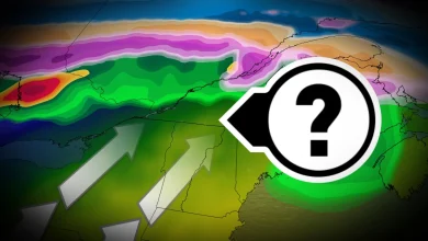 Douceur en péril : ce facteur pourrait changer la donne