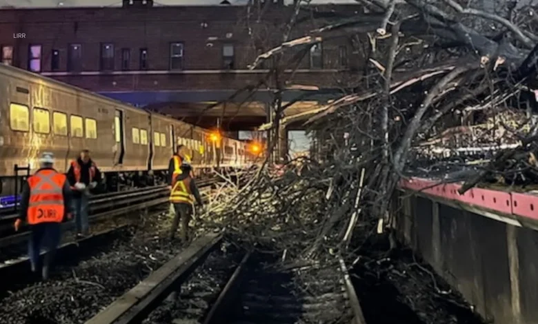 Downed tree causes LIRR service delays near Kew Gardens, Queens