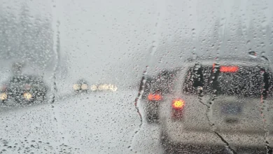 Drivers urged to avoid Highway 17 after weather forces full closure near Massey