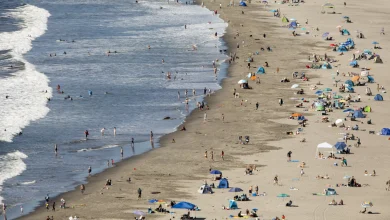 During a Heat Wave, What’s the Best Beach to Visit Near San Francisco?