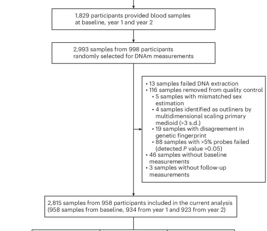 Effects of daily multivitamin–multimineral and cocoa extract supplementation on epigenetic aging clocks in the COSMOS randomized clinical trial