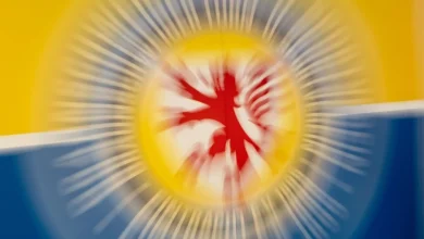 Eintracht Braunschweig: Statistik, News, Ergebnisse und nächste Gegner in der 2. Bundesliga