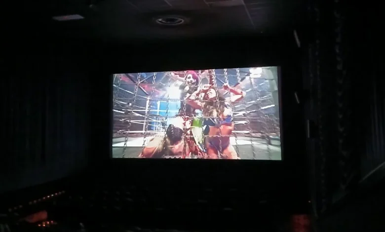 Elimination Chamber draws small crowd, big pops at local cinema