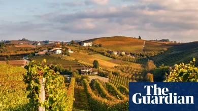 European wine, chocolate and cars to become cheaper in Australia amid landmark trade deal with EU