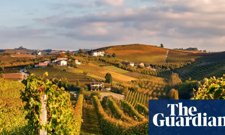 European wine, chocolate and cars to become cheaper in Australia amid landmark trade deal with EU