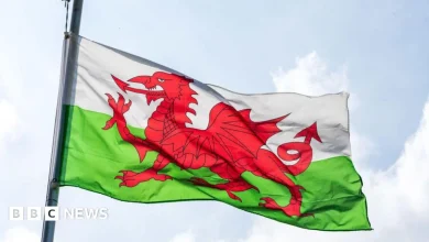 Events across the region to celebrate St David's Day