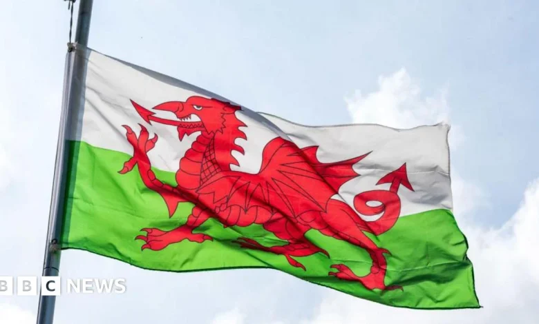 Events across the region to celebrate St David's Day
