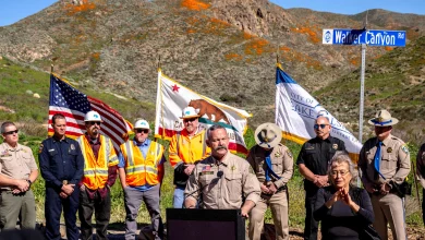 Exclusive: ‘Some people should never be allowed to vote’: California sheriff who seized ballots pushes extreme anti-voting rhetoric online