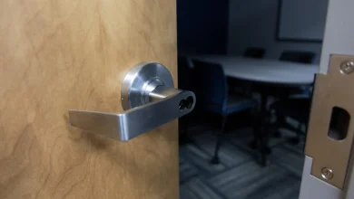 FDA advisory committee meetings fade as controversial decisions grow