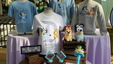 FIRST LOOK: New 'Bluey' Merchandise for 'Bluey's Best Day Ever' at Disneyland