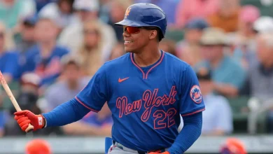 Fantasy Baseball Primer: Outfield Rankings & Tiers (2026)