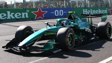 Fernando Alonso manages 13 laps before expected retirement