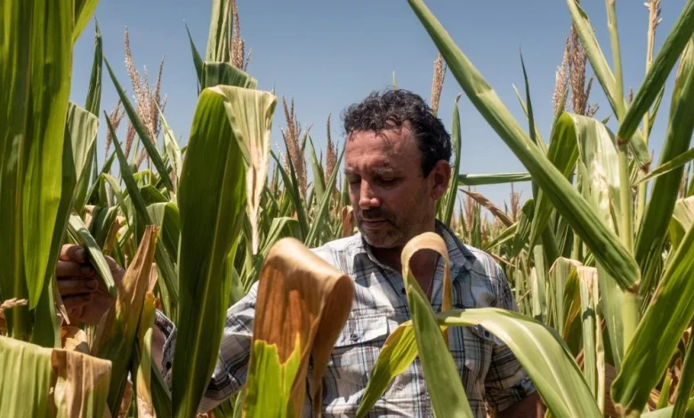 Fertilizer prices soar amid Strait of Hormuz tensions—forcing U.S. farmers to rethink crop planting