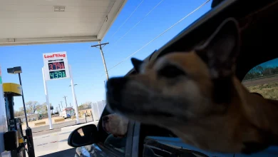 Financial markets fall to new 2026 low as oil rises again - The Washington Post