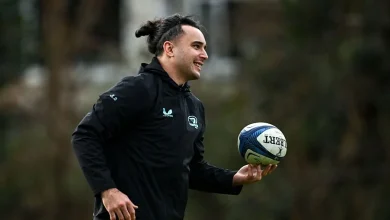 Fissler extra: Lowe's Leinster future up in the air, Tigers in lock search