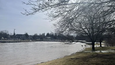 Flood warnings creating impacts across Ayr, New Hamburg