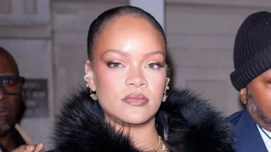Florida Woman Used AR-15 Weapon to Shoot Rihanna’s Home