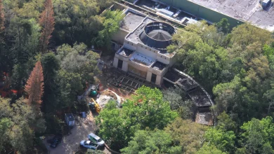 Former DINOSAUR Facade Being Transformed Into Indiana Jones Temple at Disney's Animal Kingdom