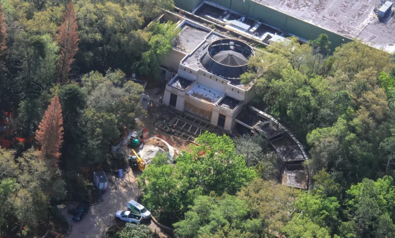 Former DINOSAUR Facade Being Transformed Into Indiana Jones Temple at Disney's Animal Kingdom