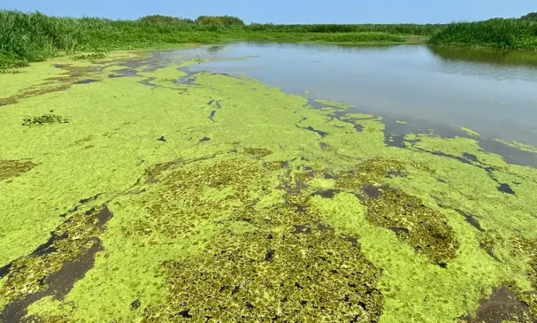 Four earthquakes strike Louisiana in under 10 minutes, days after the state's largest quake in its history