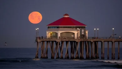 Full Moon April 2026: Exactly When To See The ‘Pink Moon’ Rise
