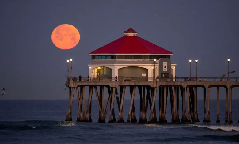 Full Moon April 2026: Exactly When To See The ‘Pink Moon’ Rise