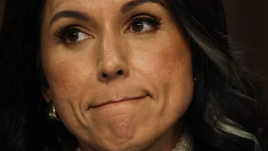 Gabbard testimony suggests Trump knew in advance about FBI’s Fulton County elections raid