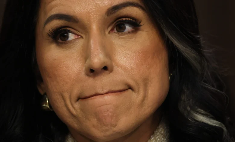 Gabbard testimony suggests Trump knew in advance about FBI’s Fulton County elections raid