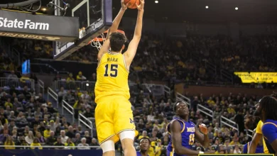 Game 30: Michigan at Iowa Recap