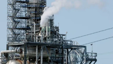 Global Stocks Face Volatility as Iran Conflict Drives Shift to Energy, Defense