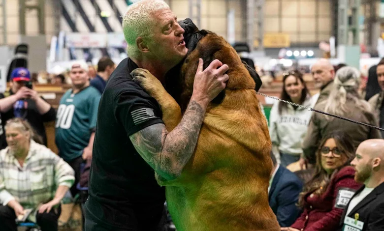 Gold-Bust! WWE legend misses out at Crufts