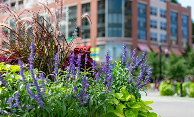 Grab a free ride and ‘Hop Around Evanston’ this spring