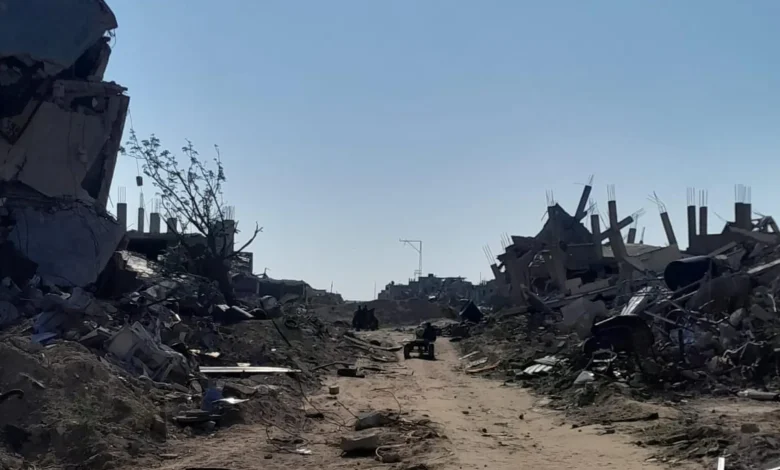 Green and Yellow: Two lines that separate me from my land