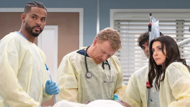 Grey's Anatomy Season 22 Episode 12 Recap: Teddy And Owen Kiss