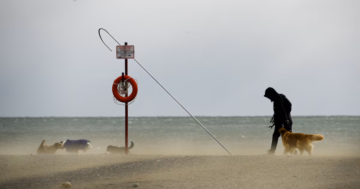 Gusty winds expected to persist through Tuesday morning, Environment Canada says