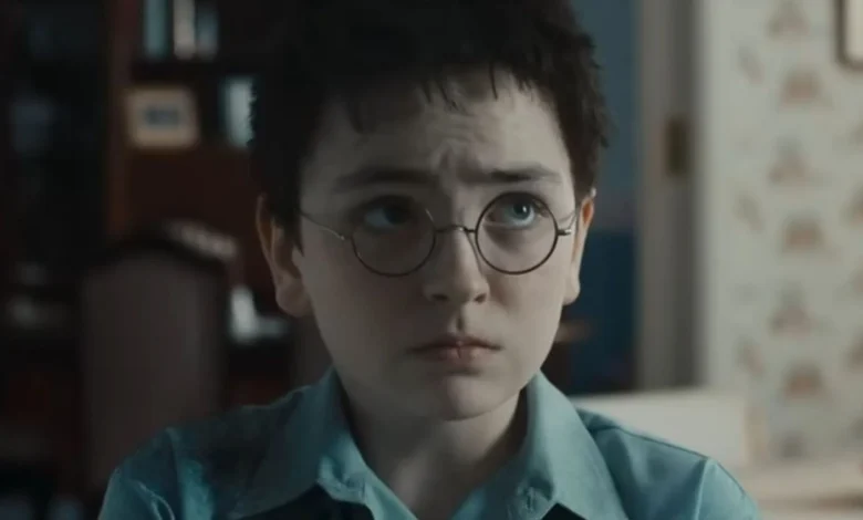 Harry Potter Season 2 Gets a Positive Update as Delayed Release Confirmed