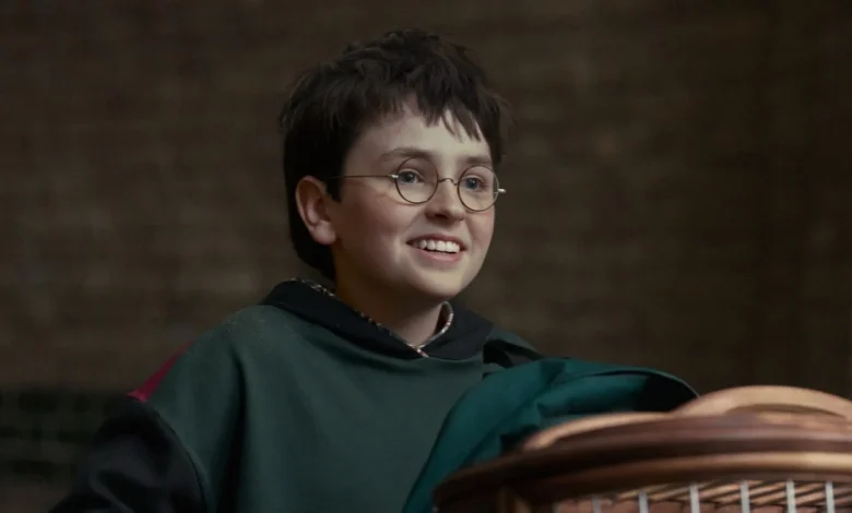 Harry Potter Trailer Makes History as Most-Viewed for HBO