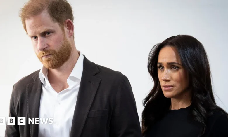 Harry and Meghan accuse royal author of 'deranged conspiracy'