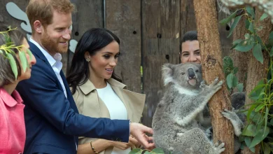 Harry and Meghan return to Oz – but the royal honeymoon is long over