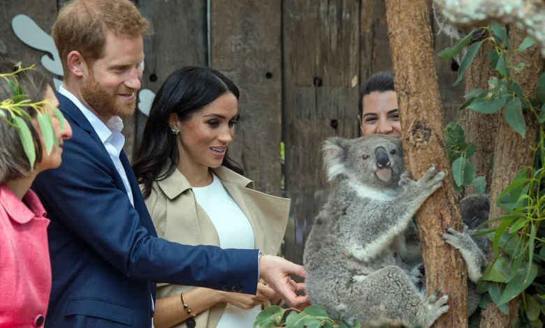 Harry and Meghan return to Oz – but the royal honeymoon is long over